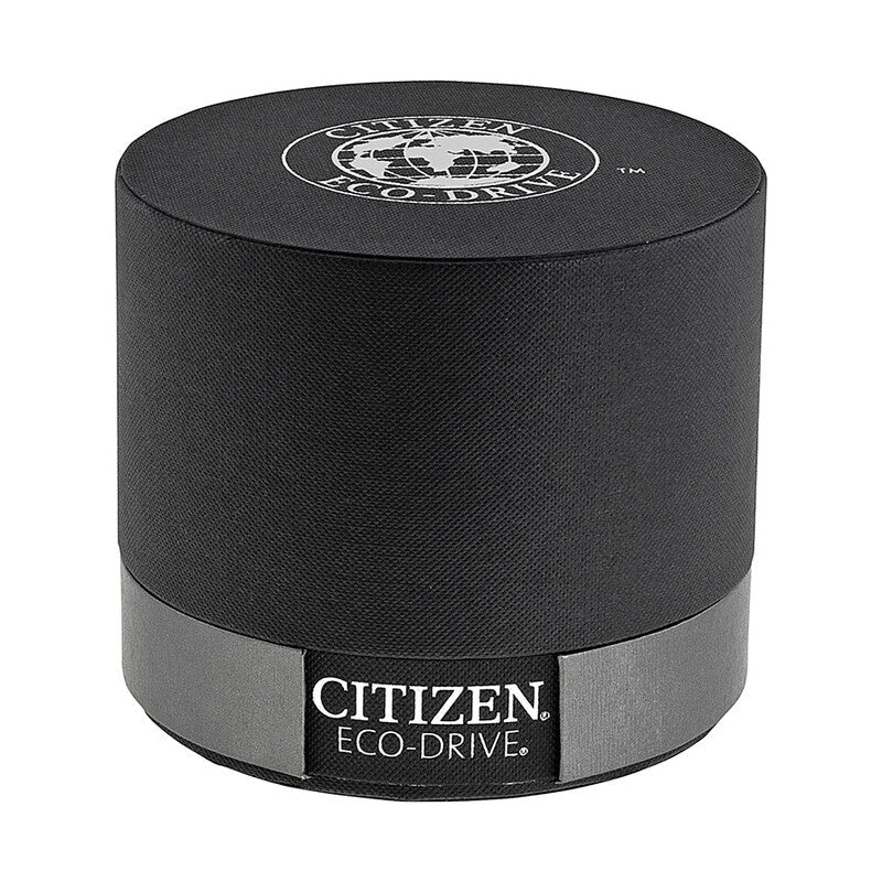 Citizen Strap Eco-Drive 180 Day-Date Men's Watch