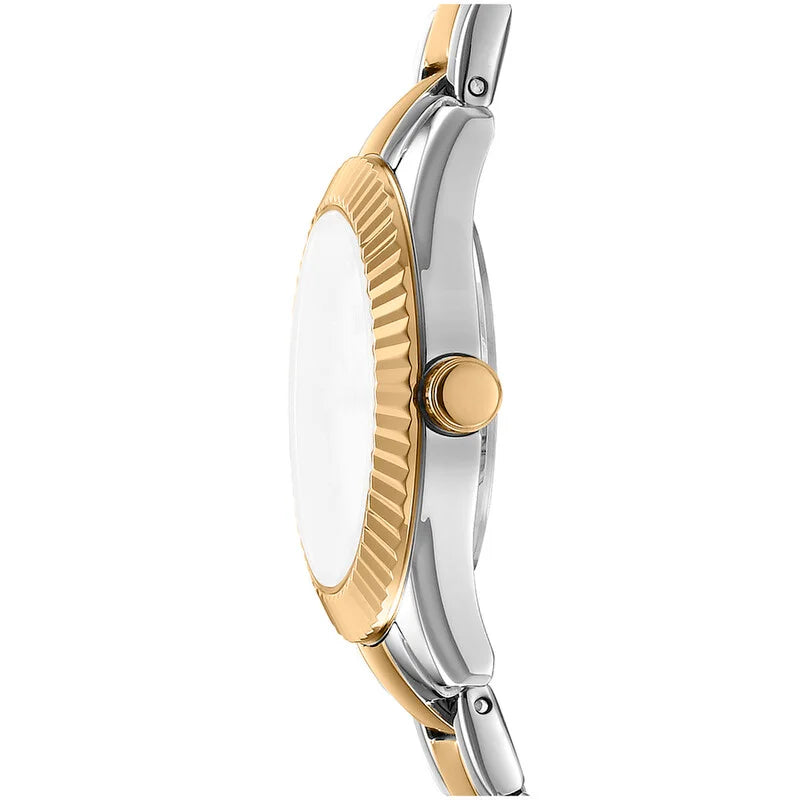 DKNY Fashion Quartz Silver Dial Women's Timepiece - DK1L017M0085