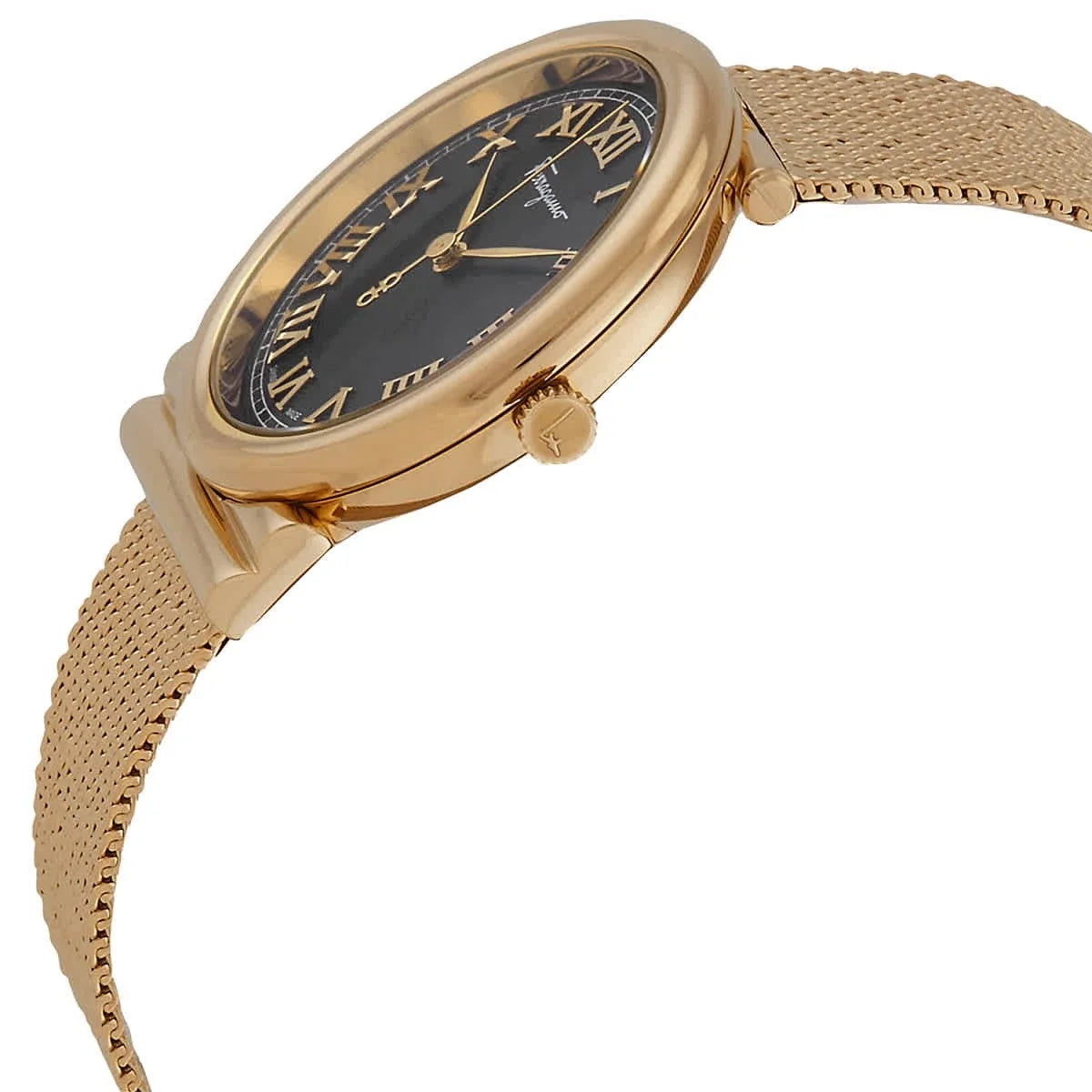 Salvatore Ferragamo Gancino Quartz Black Dial Ladies Watch SFUF00521